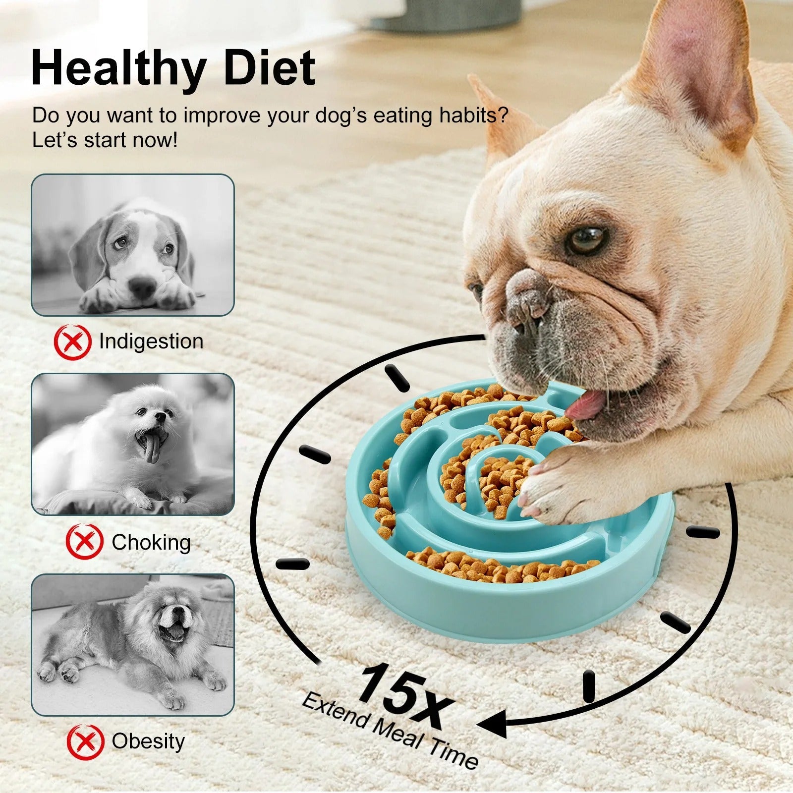 Slow Feed Pet Bowl