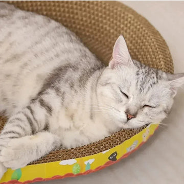 Durable Oval Cat Nest